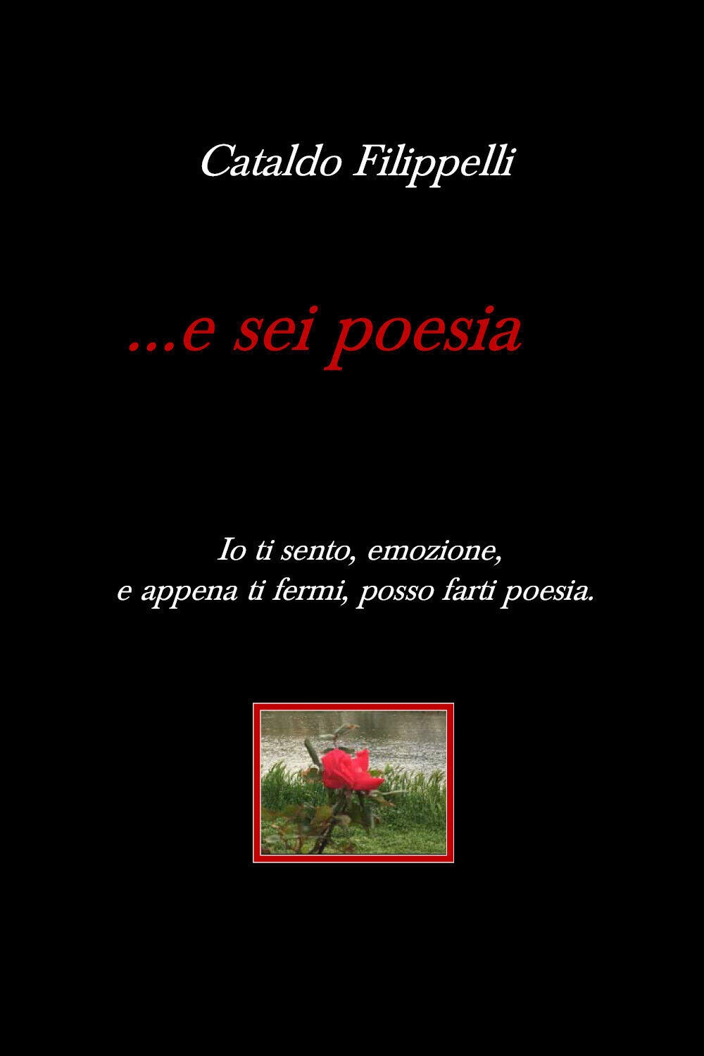 ... e sei poesia di Cataldo Filippelli,  2019,  Youcanprint