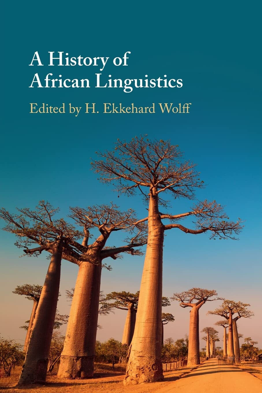 A History Of African Linguistics - H. Ekkehard Wolff - Cambridge, 2021