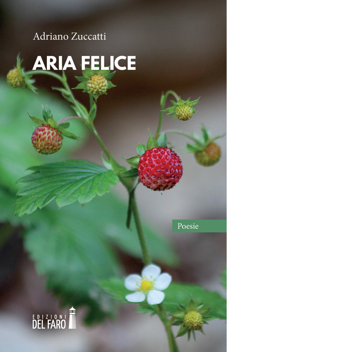 ARIA FELICE di Zuccatti Adriano - Edizioni Del Faro, 2022