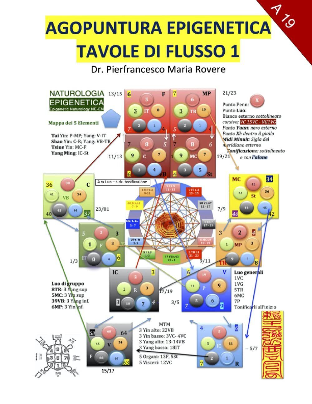 Agopuntura Epigenetica 1: Tavole di Flusso - Dr. Pierfrancesco Maria Rovere-2020
