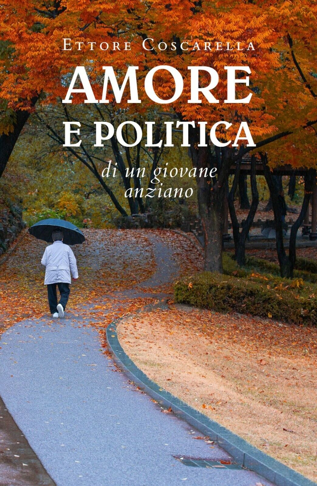Amore e politica di un giovane anziano  di Ettore Coscarella,  2020,  Youcanprin