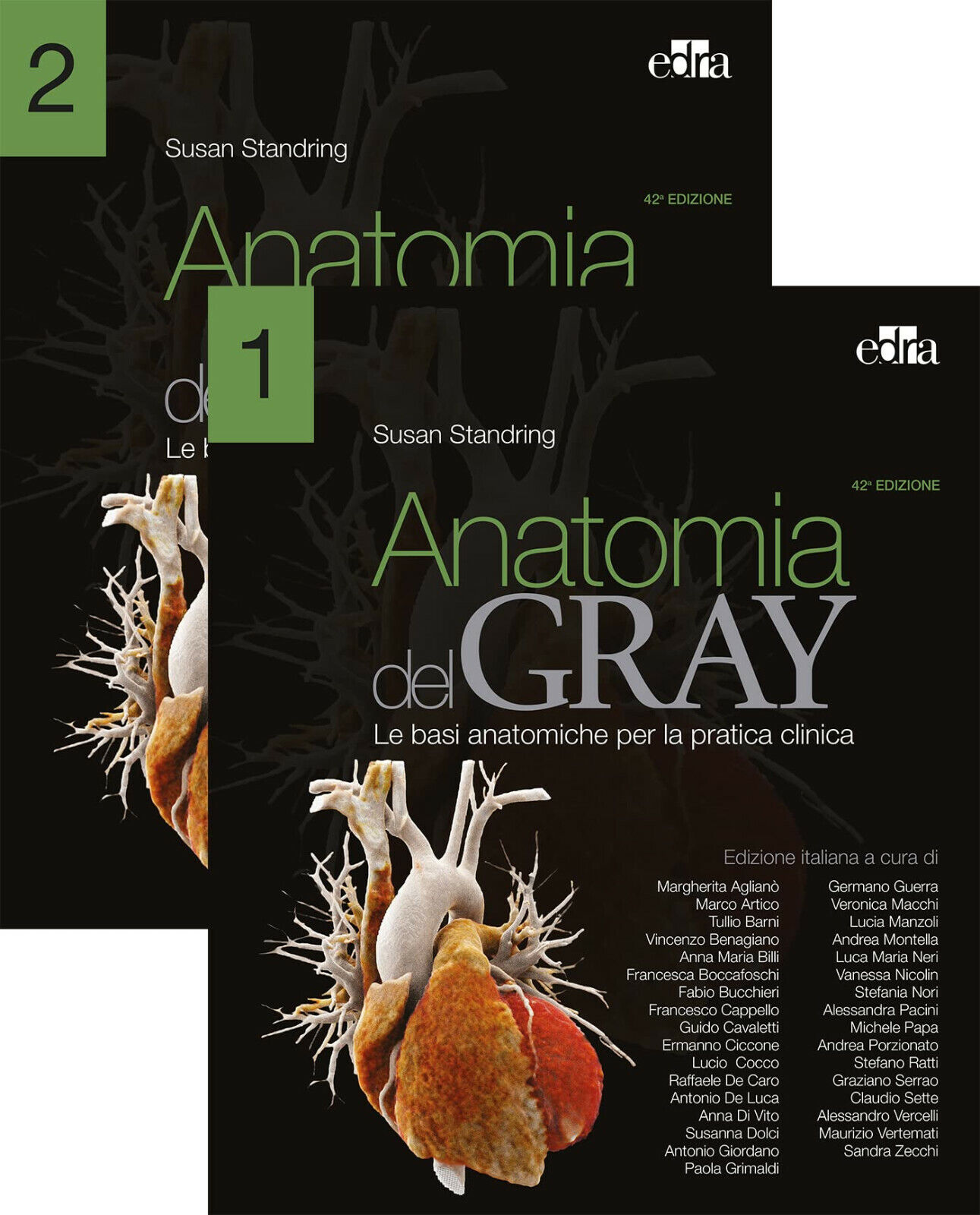 Anatomia del Gray. Le basi anatomiche per la pratica clinica (Vol. 1-2) - 2022