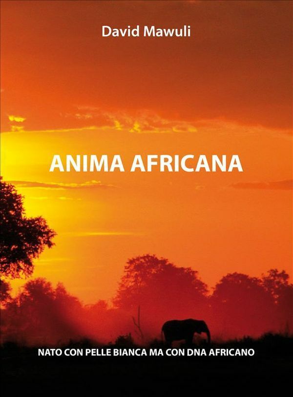 Anima Africana - David Mawuli,  2012 ,  Youcanprint - P