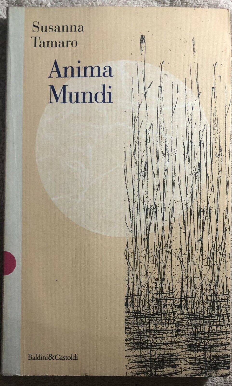 Anima mundi di Susanna Tamaro,  1997,  Dalai Editore