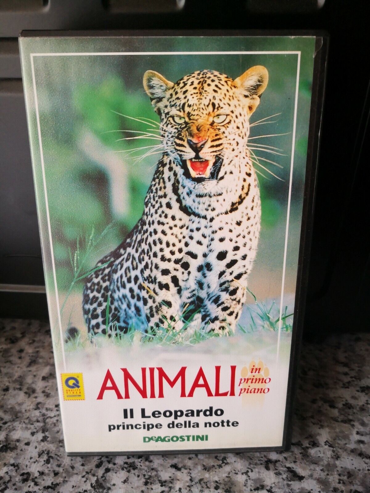 Animali - Il Leopardo principe della notte  - DeAgostini - 1994 - F