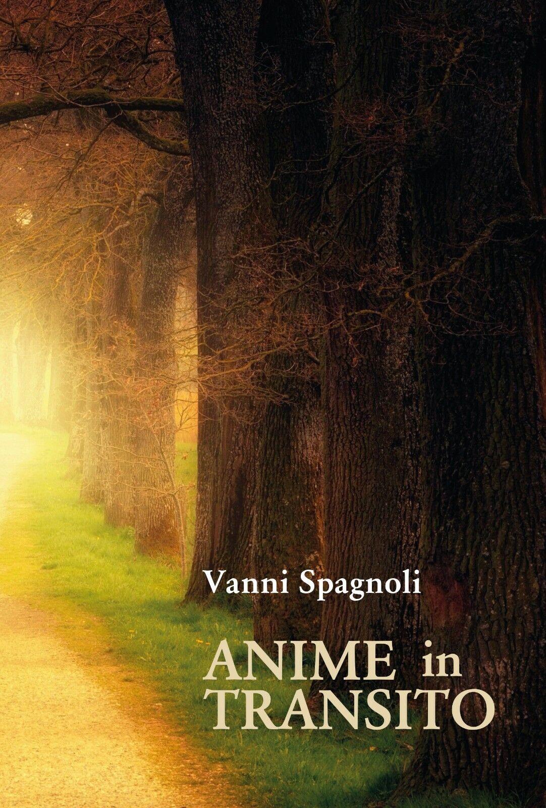Anime in transito di Vanni Spagnoli,  2021,  Youcanprint