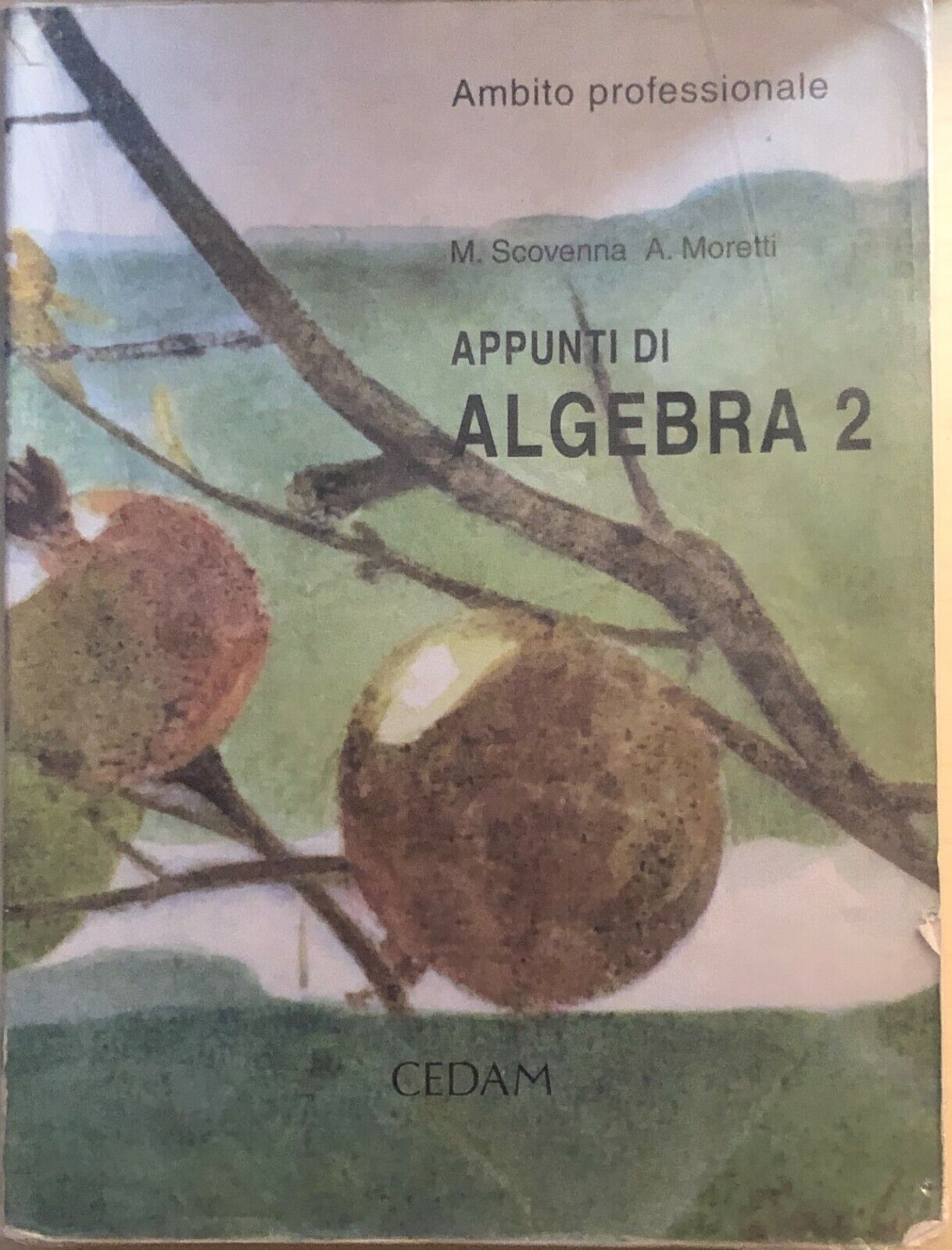 Appunti di algebra 2 di AA.VV., 2002, CEDAM