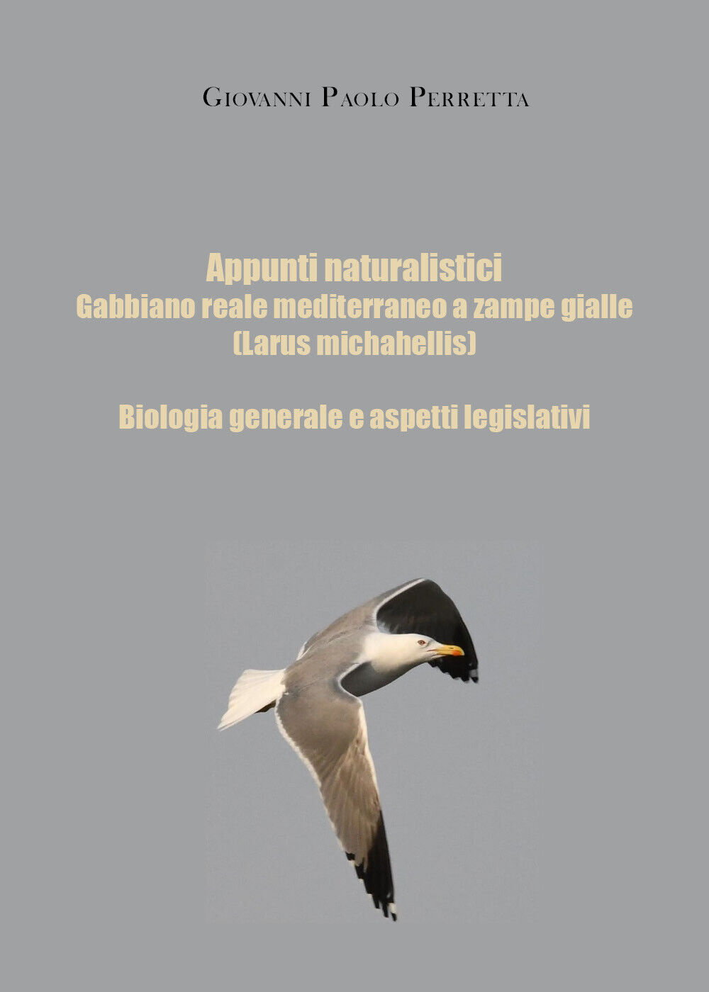 Appunti naturalistici. Gabbiano reale mediterraneo a zampe gialle (Larus michahe