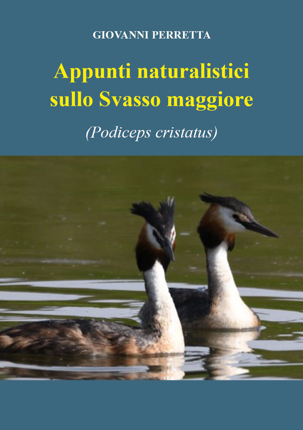 Appunti naturalistici sulla svasso maggiore (Podiceps cristatus) di Giovanni Per