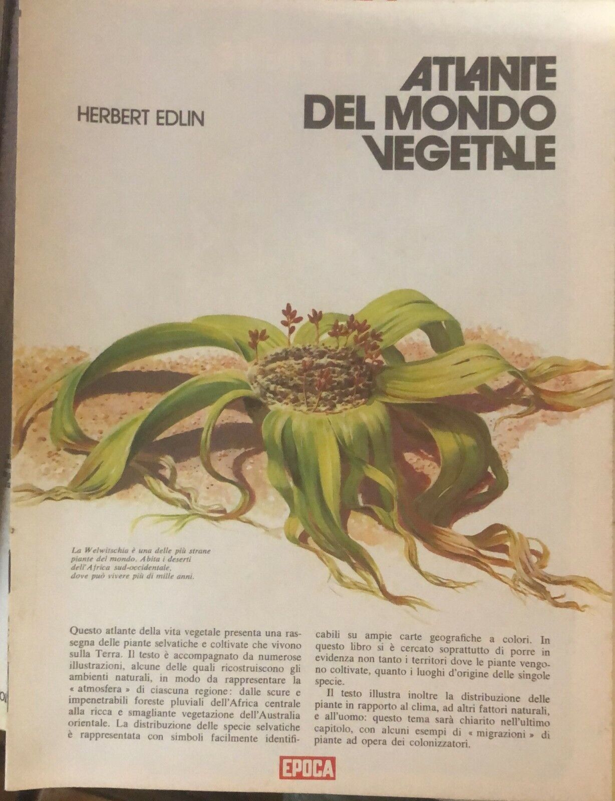Atlante del mondo vegetale di Herbert Edlin,  1973,  Epoca