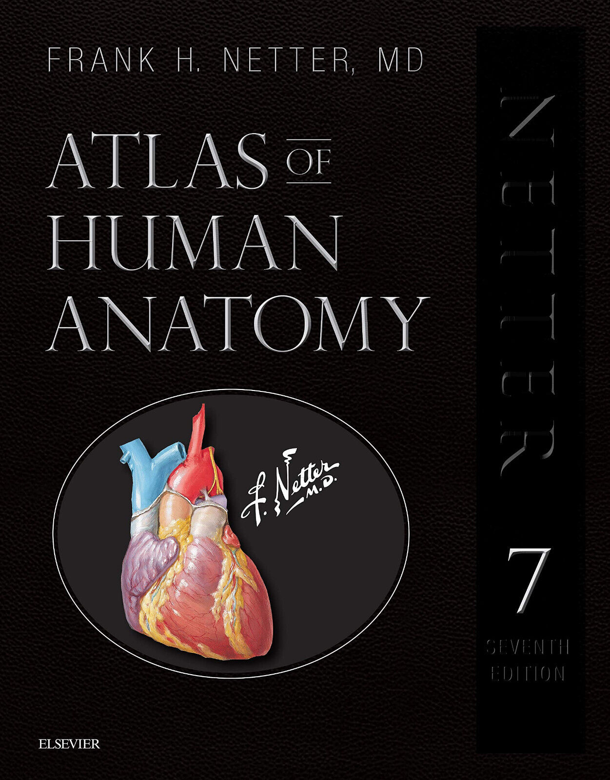 Atlas of Human Anatomy - Frank H. Netter - Elsevier, 2018