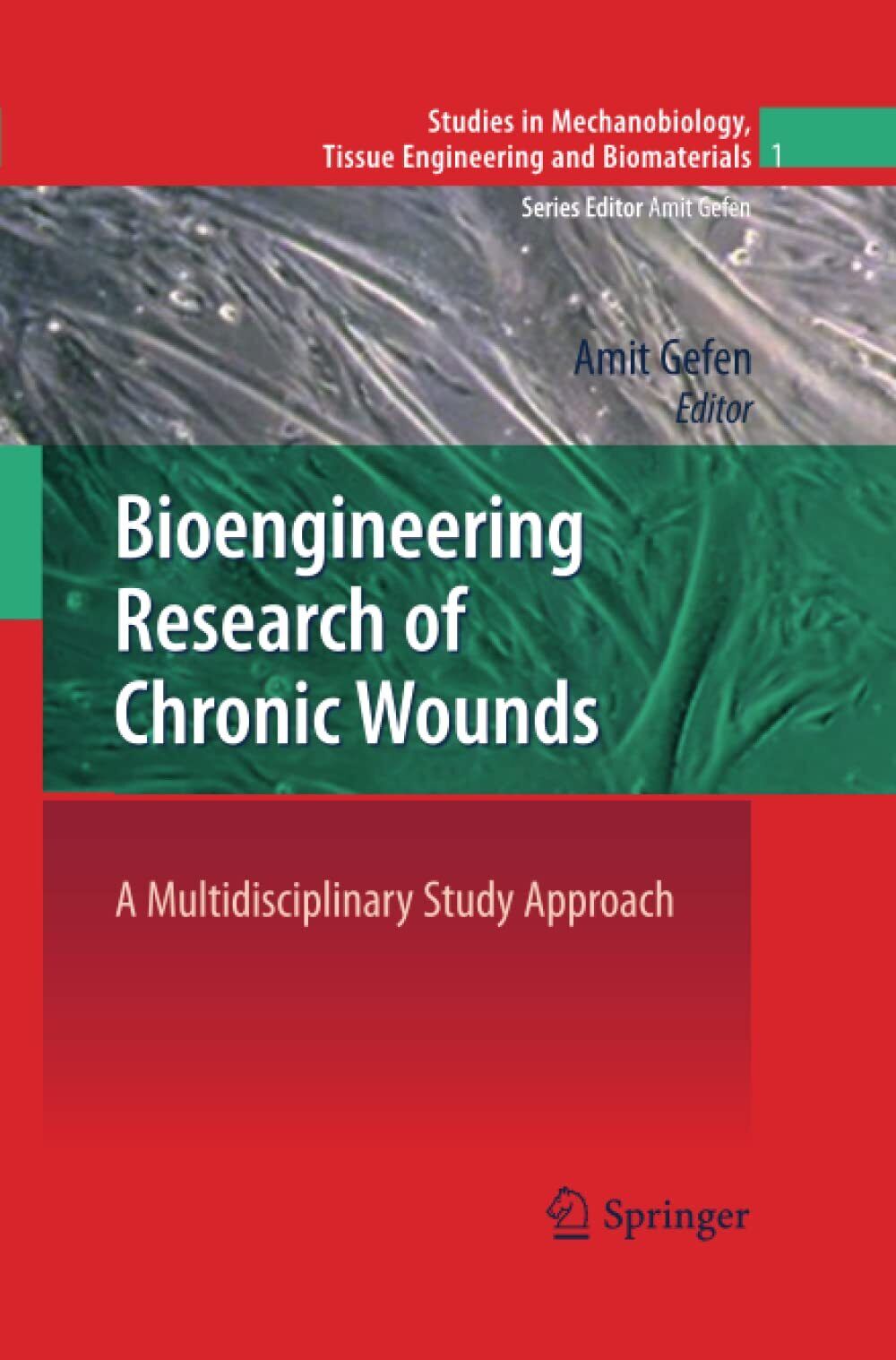 Bioengineering Research of Chronic Wounds - Amit Gefen - Springer, 2012