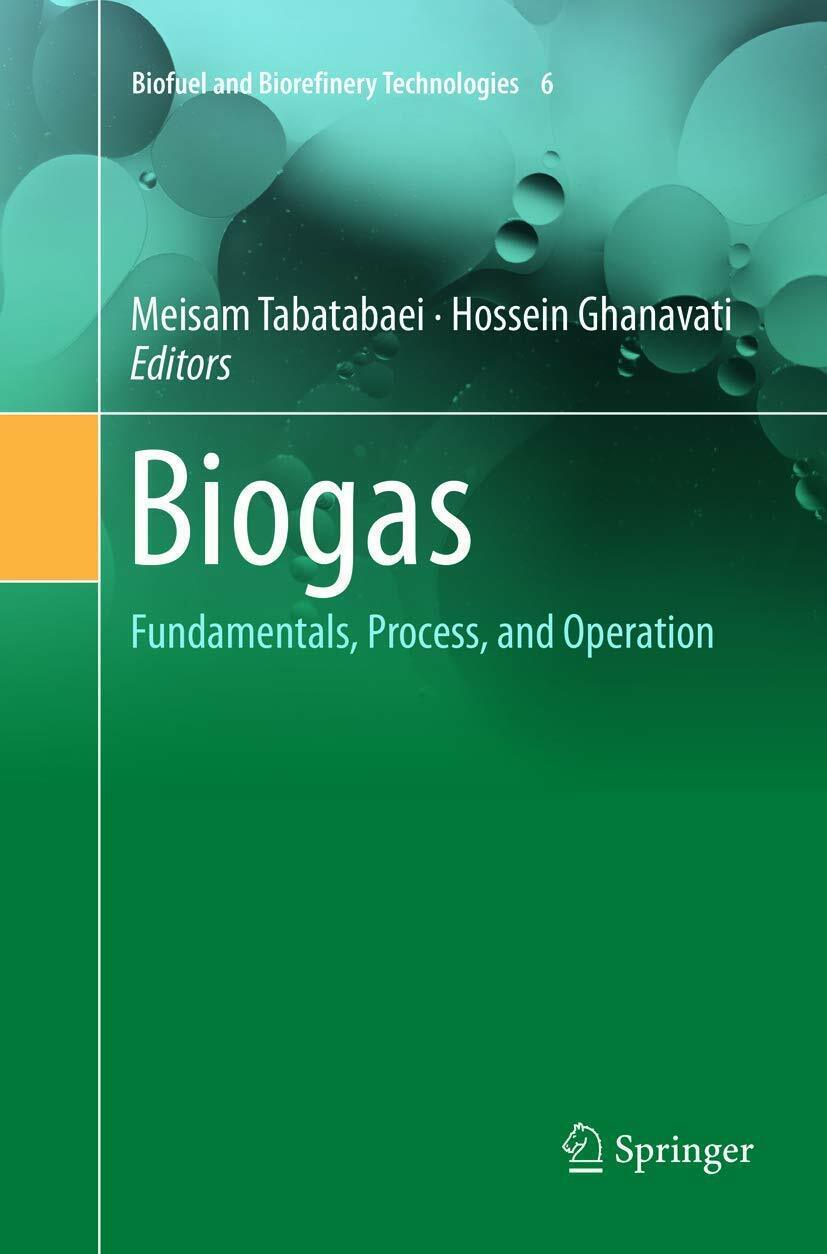 Biogas - Meisam Tabatabaei - Springer, 2019