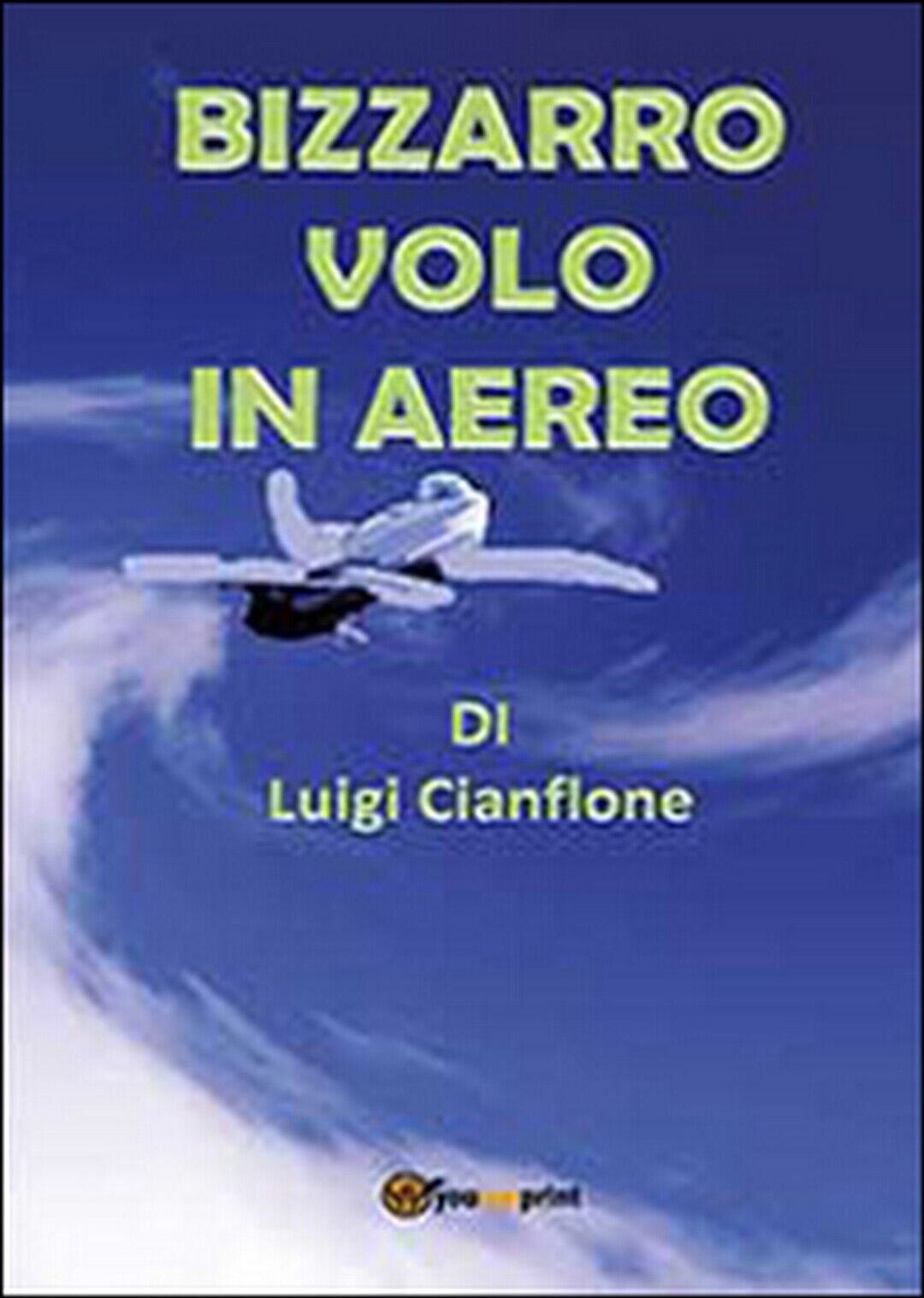 Bizzarro volo in aereo  di Luigi Cianflone,  2014,  Youcanprint