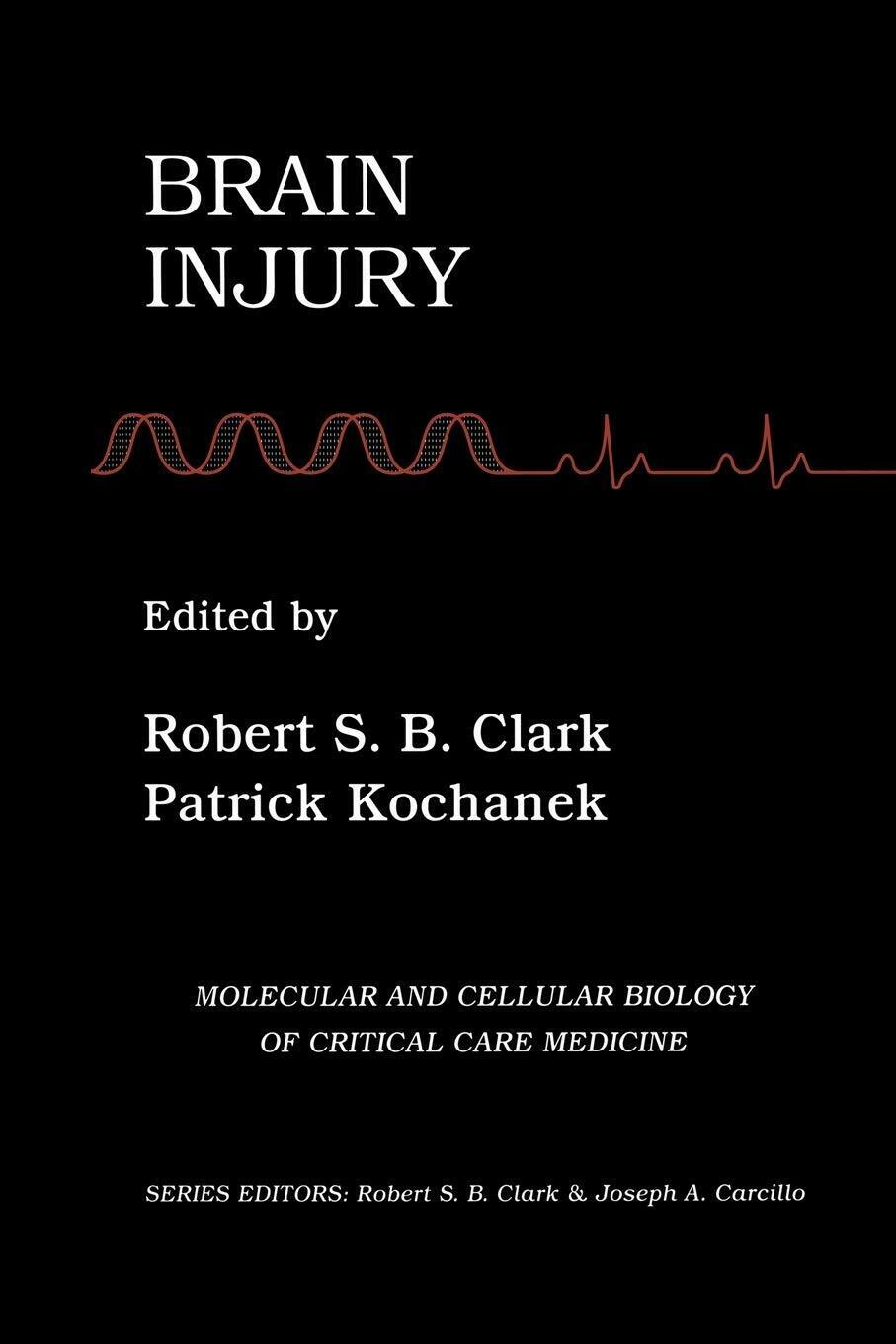 Brain Injury - Robert S. B. Clark - Springer, 2012