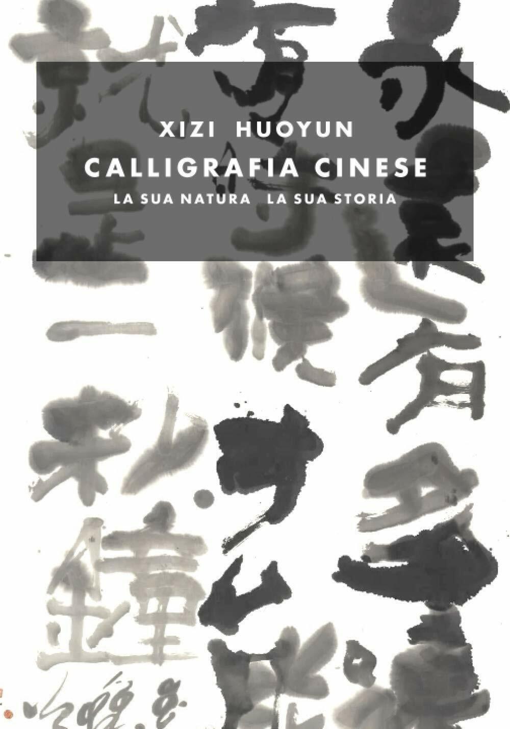 Calligrafia Cinese: La sua Natura La sua Storia di Nicola Piccioli Huoyun, Paola
