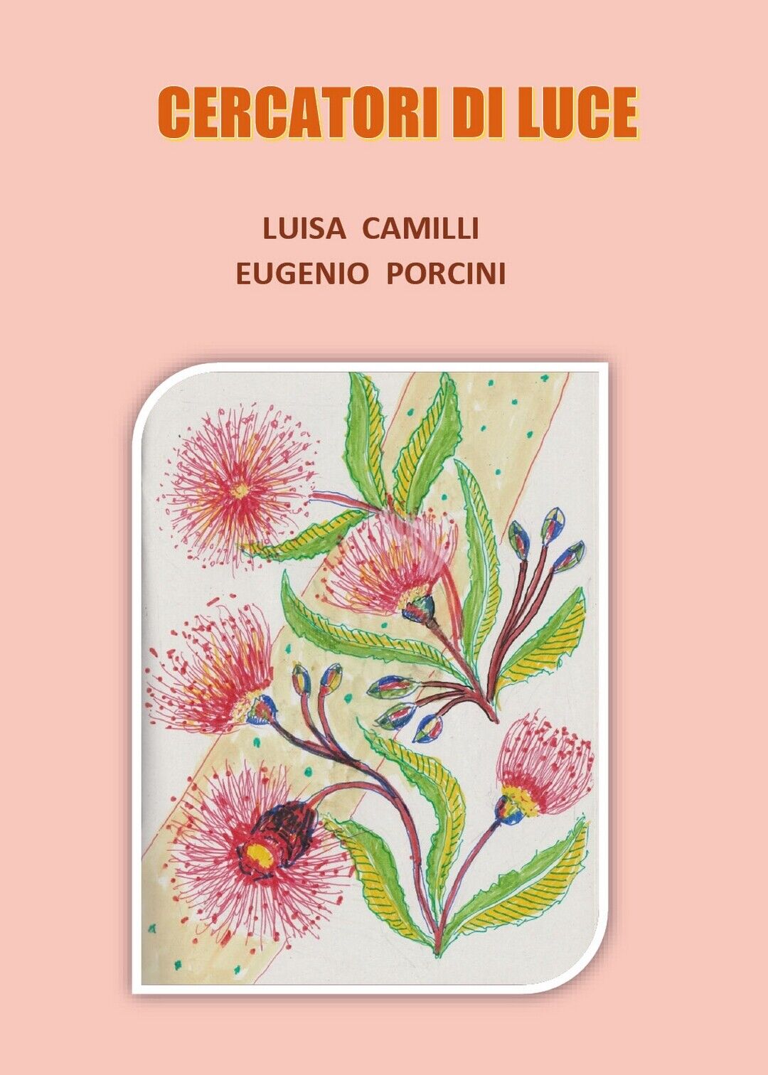Cercatori di Luce  di Luisa Camilli, Eugenio Porcini,  2020,  Youcanprint
