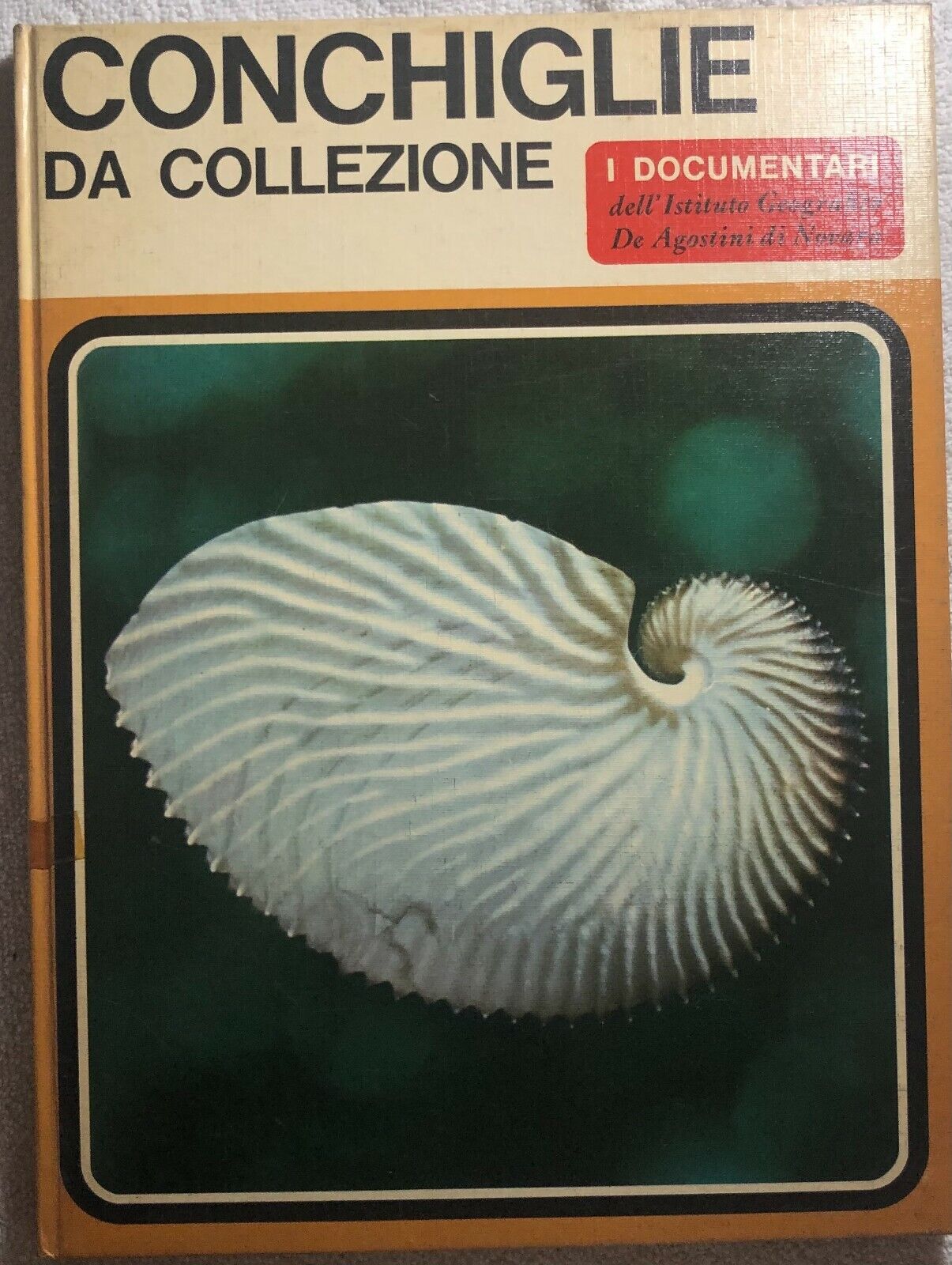 Conchiglie da collezione di Sergio Angeletti,  1968,  Istituto Geografico Deagos