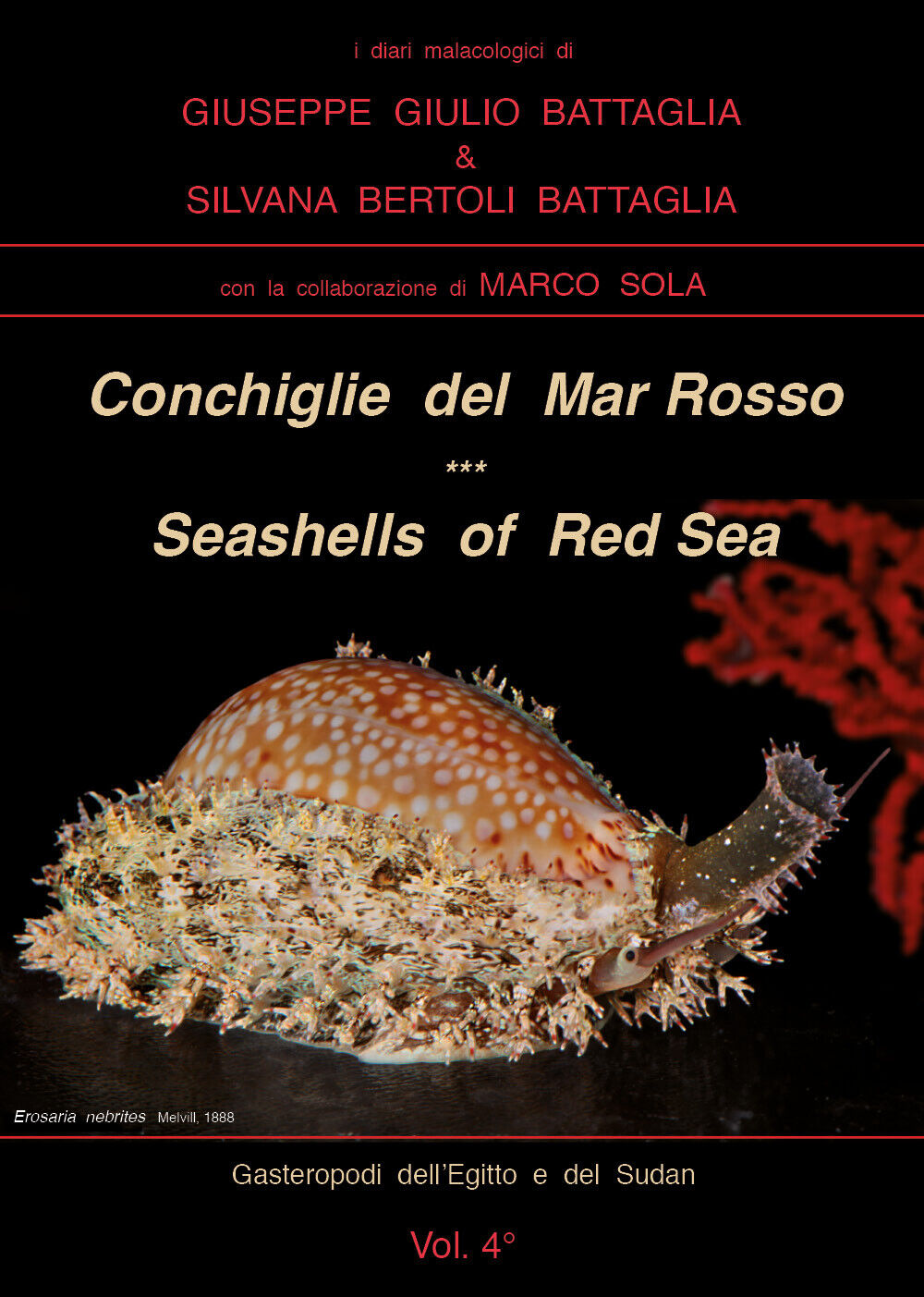 Conchiglie del Mar Rosso-Red Sea?s seashelles. Ediz. bilingue di Giuseppe Giulio