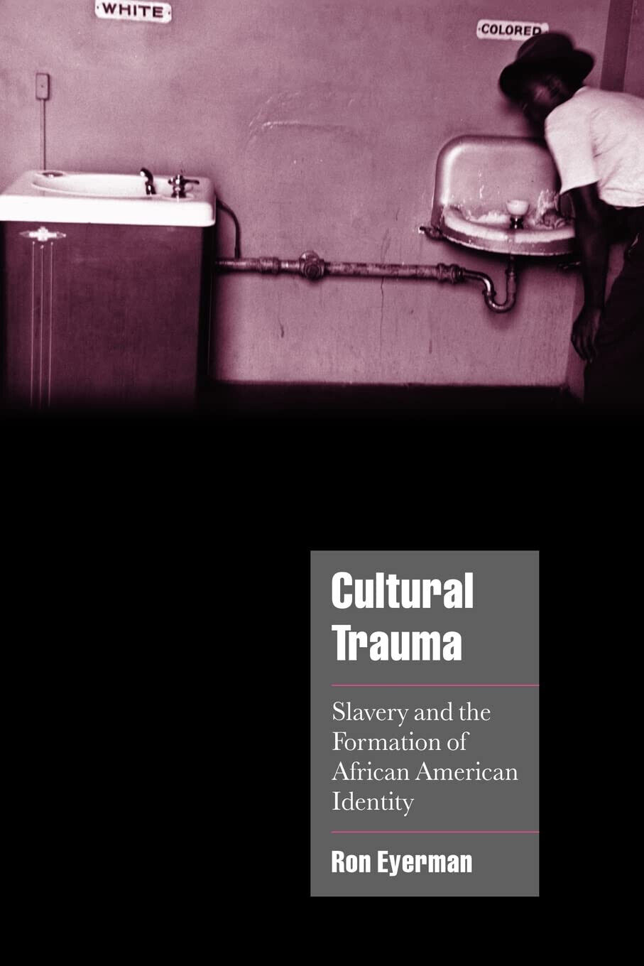Cultural Trauma - Ron Eyerman - Cambridge, 2022