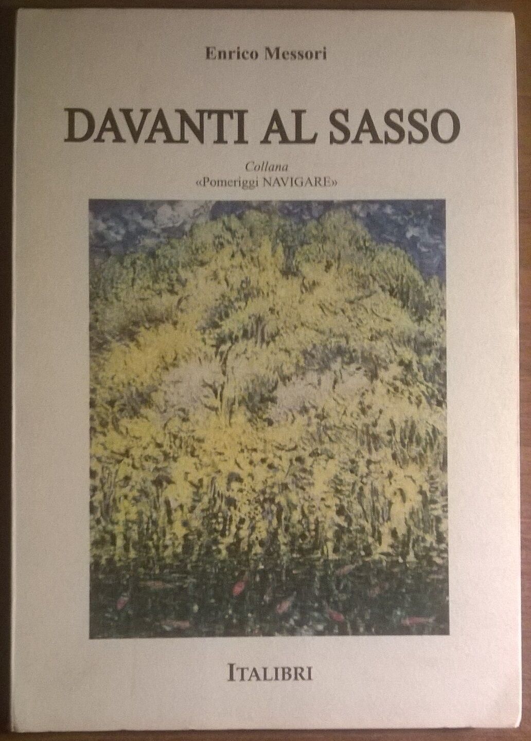 Davanti al sasso - Enrico Messori - 1994, Italibri  - L 