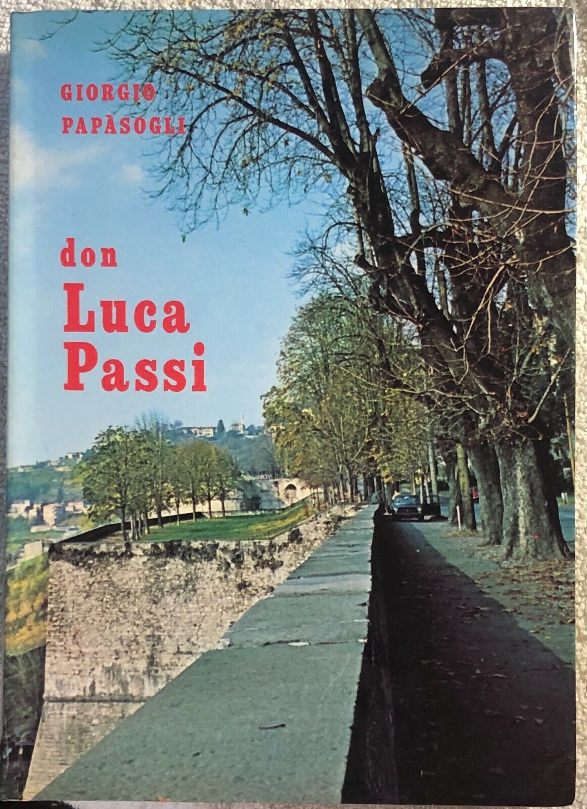Don Luca Passi di Giorgio Pap?sogli,  1978,  Istituto Delle Suore Maestre Di San
