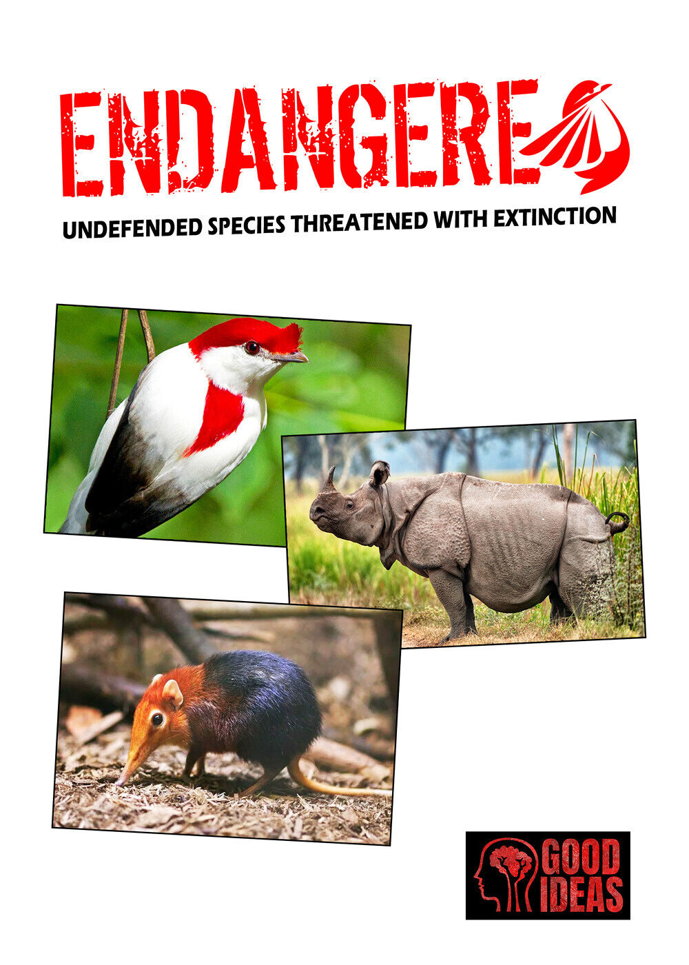 Endangered. Undefended species threatened with extinction. Ediz. italiana, ingle