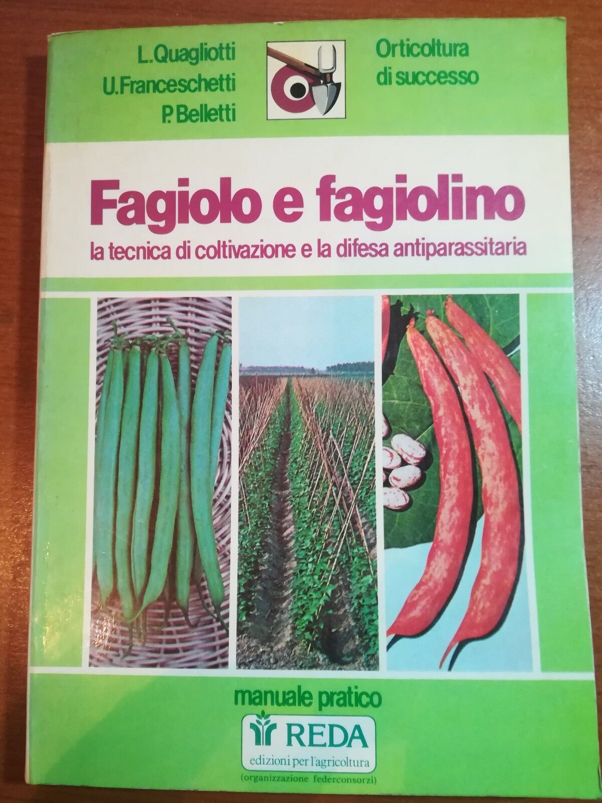 Fagiolo e fagiolino - AA.VV - Reda - 1984 - M