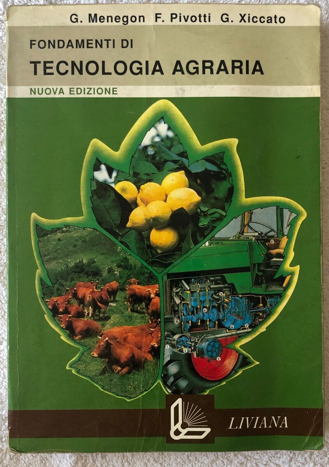 Fondamenti di tecnologia agraria. Per gli Ist. Tecnici per geometri e Ist. Agrar