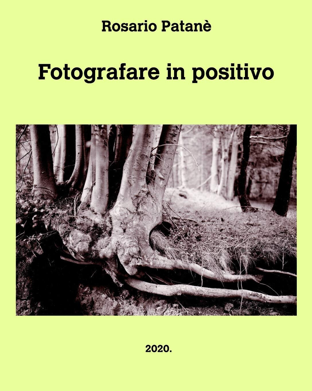 Fotografare in positivo - Rosario Patan? - Blurb, 2021