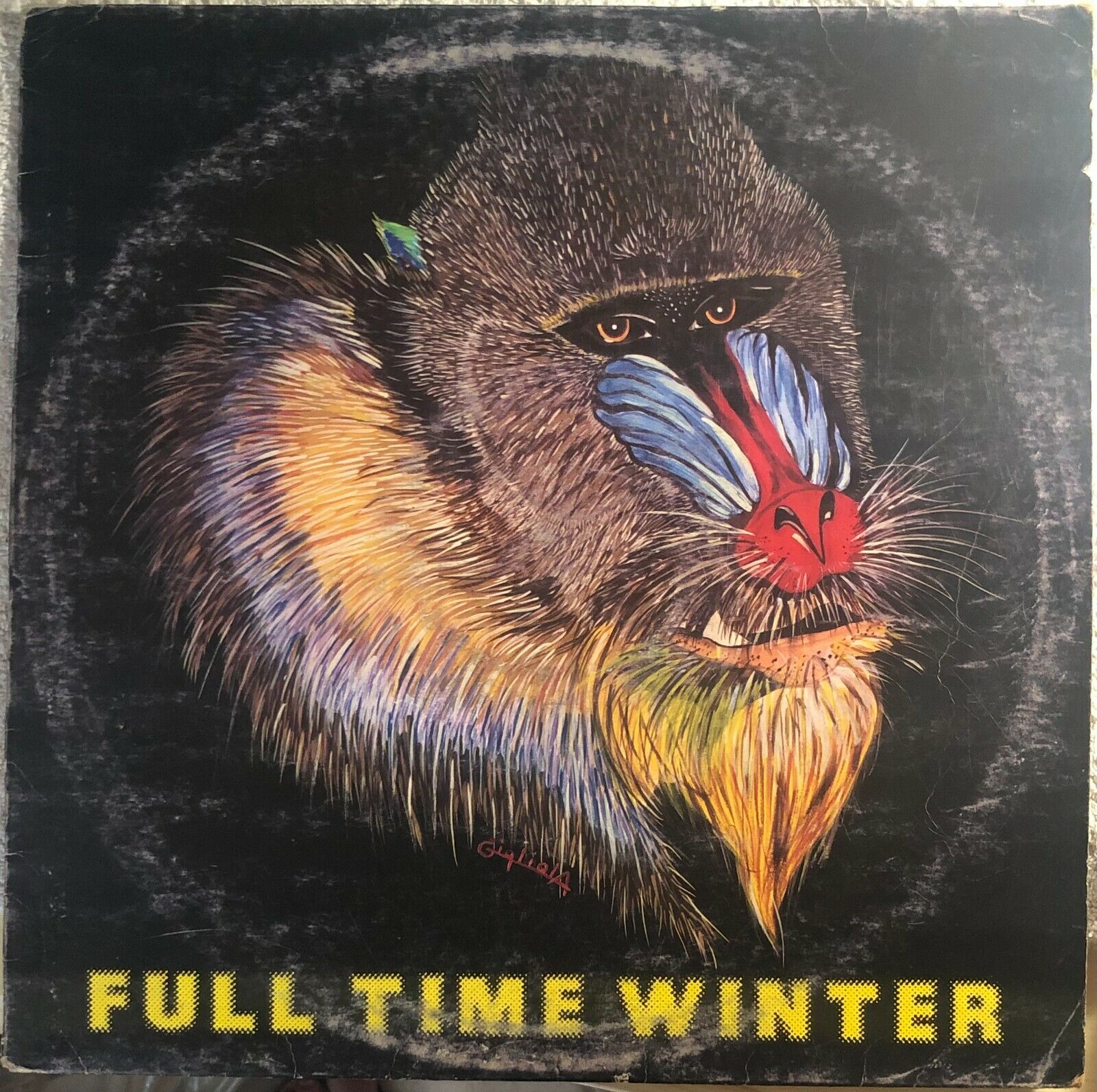 Full time winter VINILE di Aa.vv.,  1981,  Full Time Records