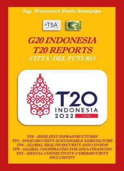 G20 INDONESIA T20 REPORTS CITT? FUTURE di Francesco Paolo Rosapepe,  2022,  Youc