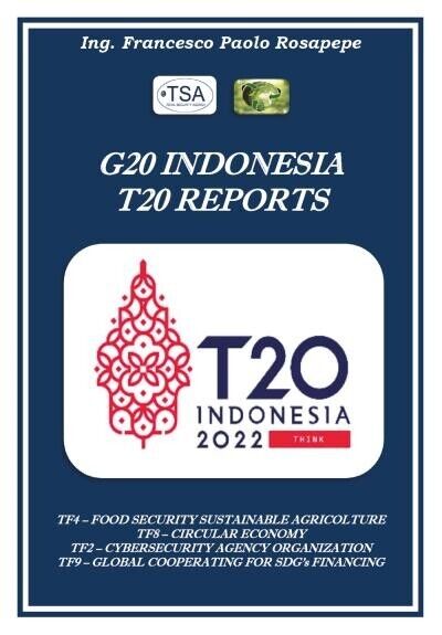 G20 Indonesia T20 Reports di Francesco Paolo Rosapepe, 2022, Youcanprint