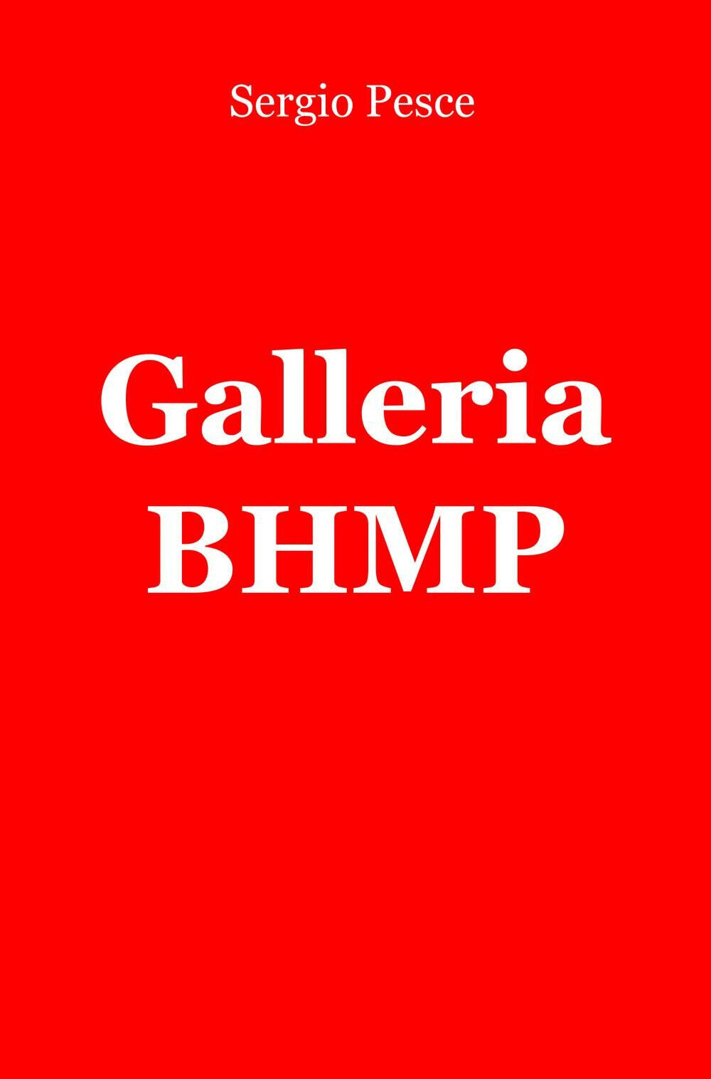 Galleria BHMP - Sergio Pesce - ilmiolibro, 2015