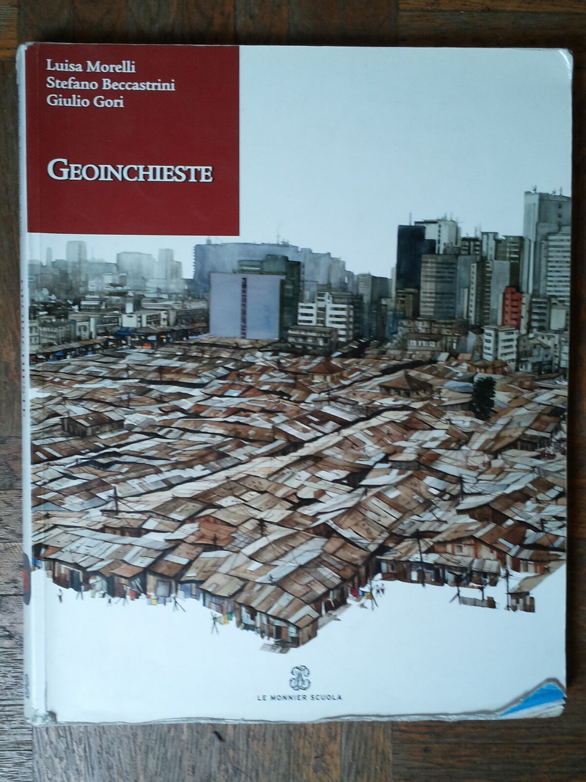 Geoinchieste - AA.VV. - Le Monnier Scuola,2009 - R