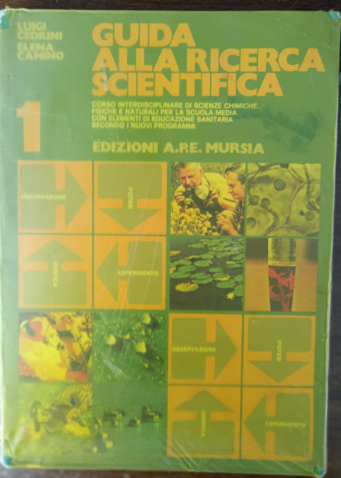 Guida alla ricerca scientifica 1 - Cedriani, Camino - A.P.E. Mursia, 1984 - A