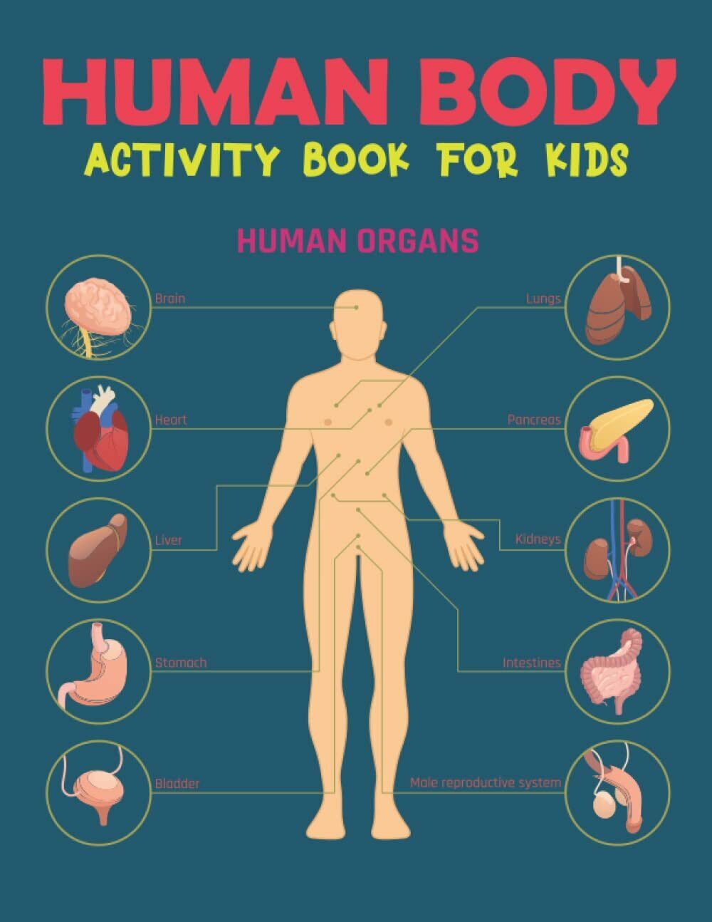 HUMAN BODY ACTIVITY BOOK FOR KIDS: human body, anatomy, activity book, kids, gra