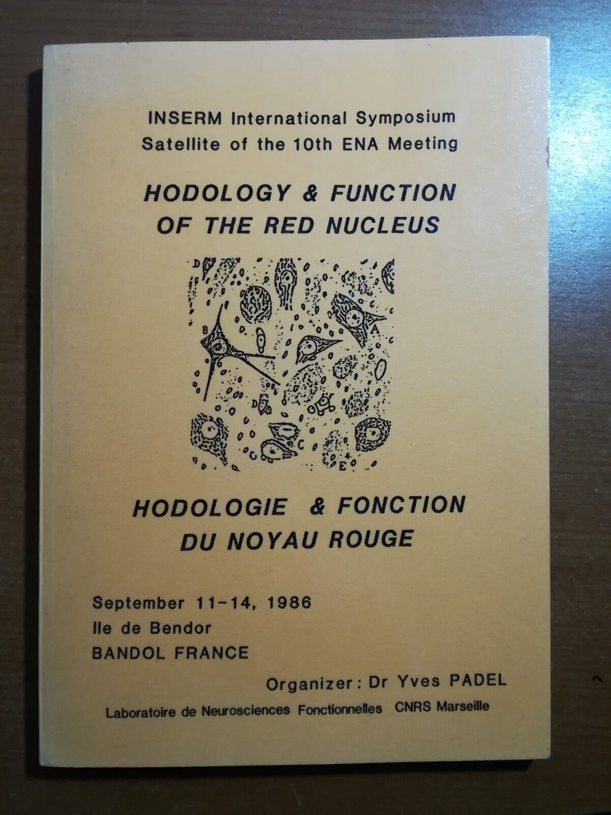 Hodology & Function of the red Nucleus -Yves Padel - CNRS - 1986 - M