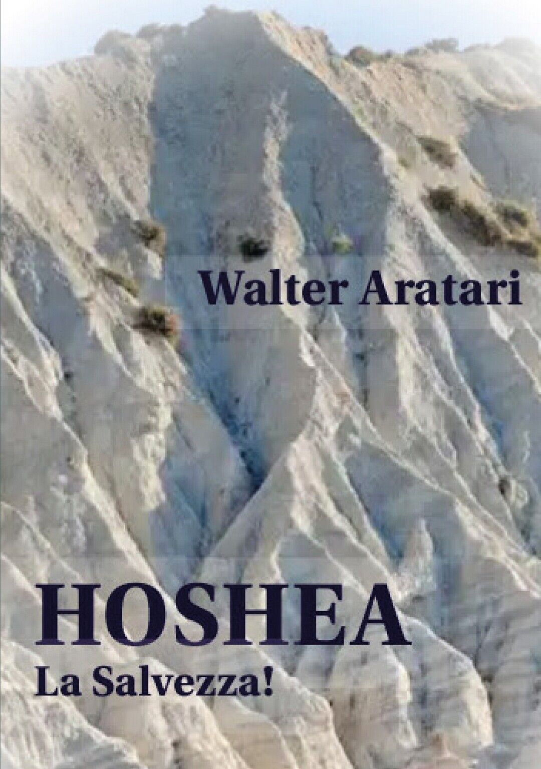 Hoshea  di Walter Aratari,  2019,  Youcanprint
