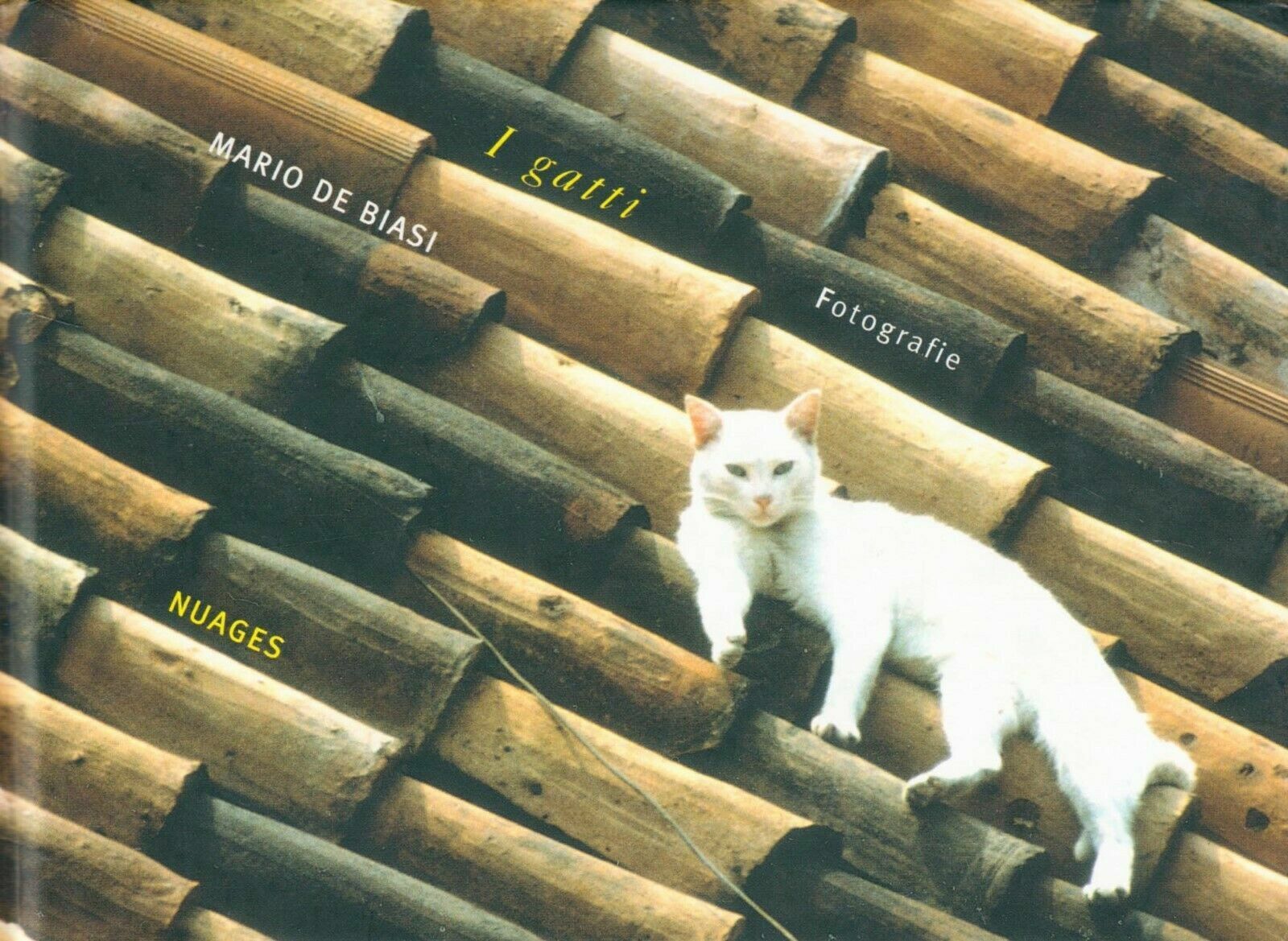 I gatti, fotografie di Mario De Biasi,  2006,  Nuages