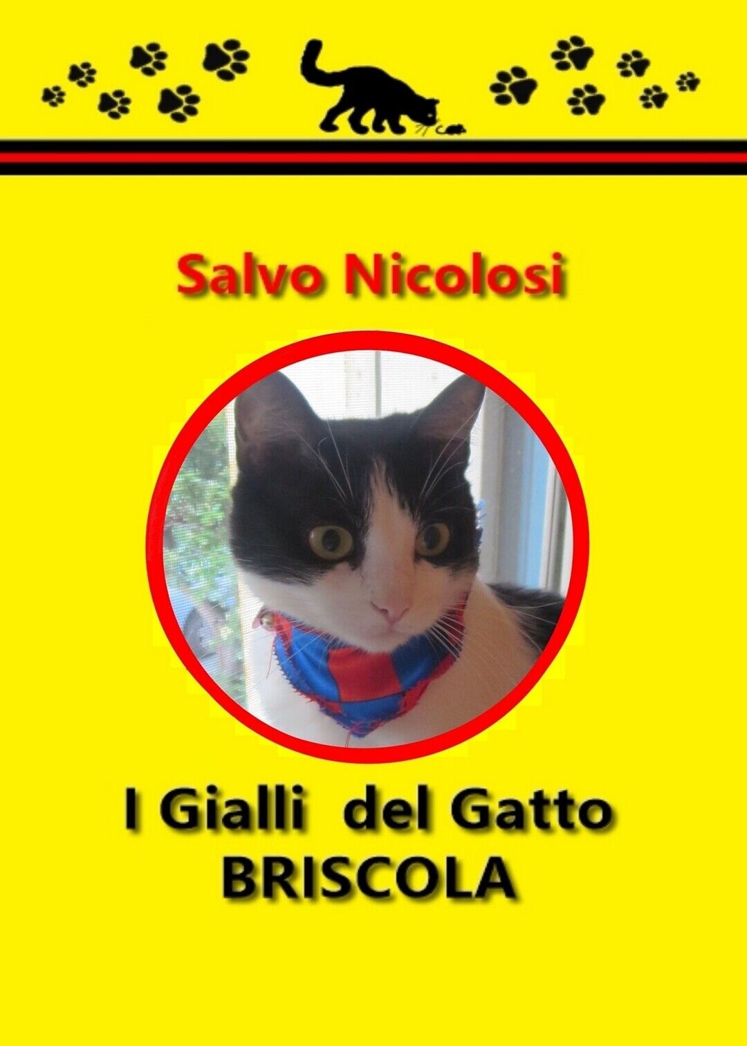 I gialli del gatto briscola  di Salvo Nicolosi,  2019,  Youcanprint