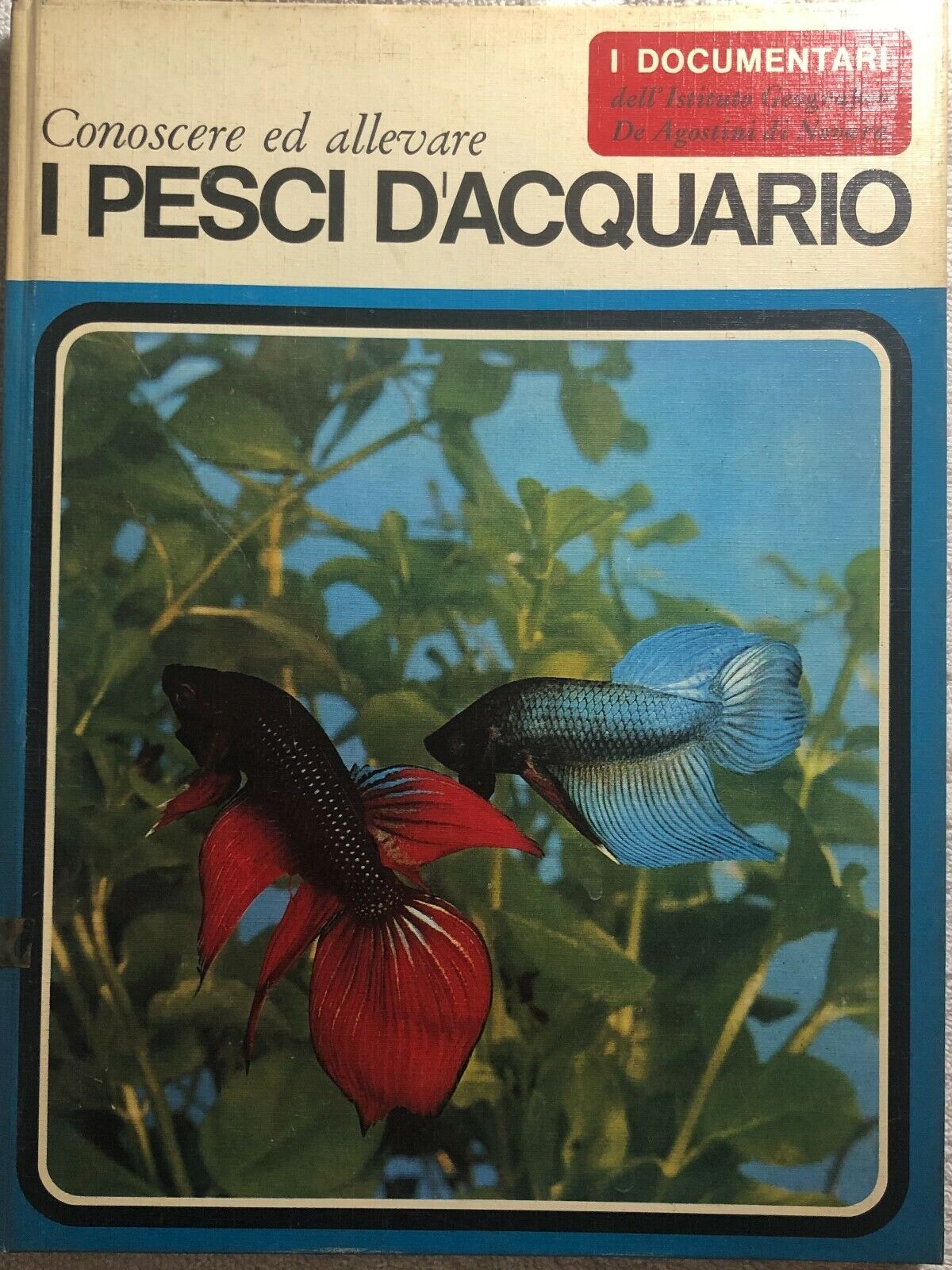 I pesci d'acquario di Elso Lodi,  1969,  Istituto Geografico Deagostini