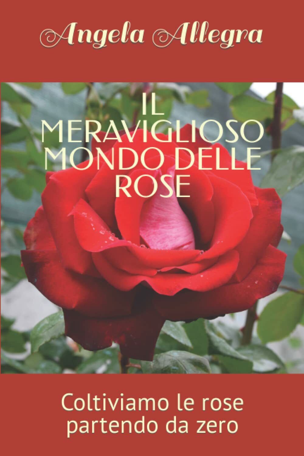 IL MERAVIGLIOSO MONDO DELLE ROSE: Coltiviamo le rose partendo da zero di Angela 