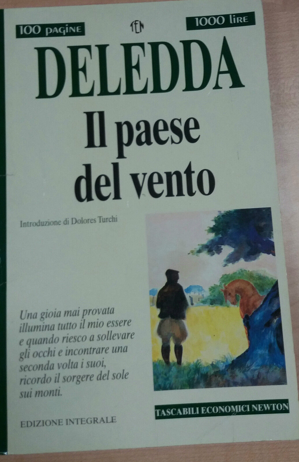 IL PAESE DEL VENTO - GRAZIA DELEDDA - NEWTON - 1995 - M 