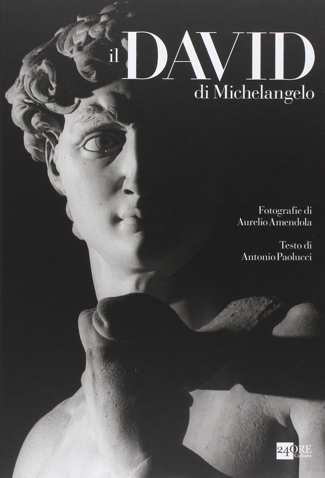 Il David di Michelangelo - Antonio Paolucci, Aurelio Amendola - 2014