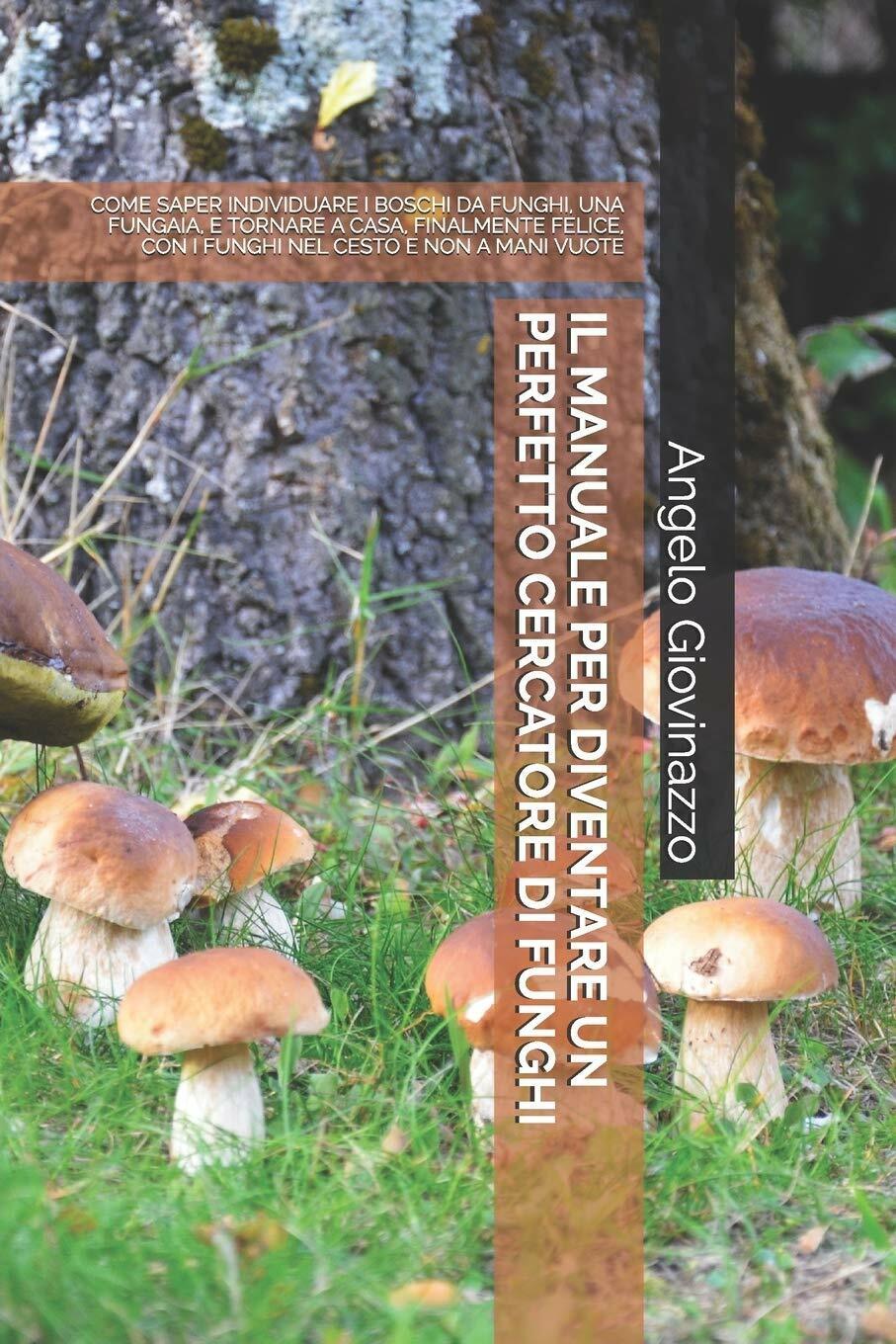 Il Manuale Per Diventare Un Perfetto Cercatore Di Funghi Come Saper Individuare 