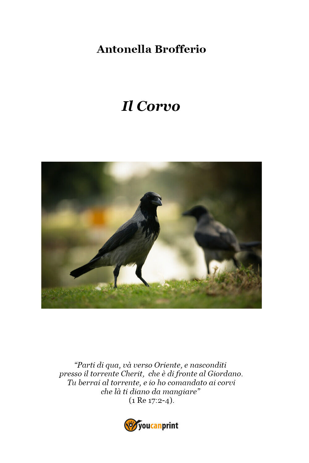 Il corvo di Antonella Brofferio,  2021,  Youcanprint