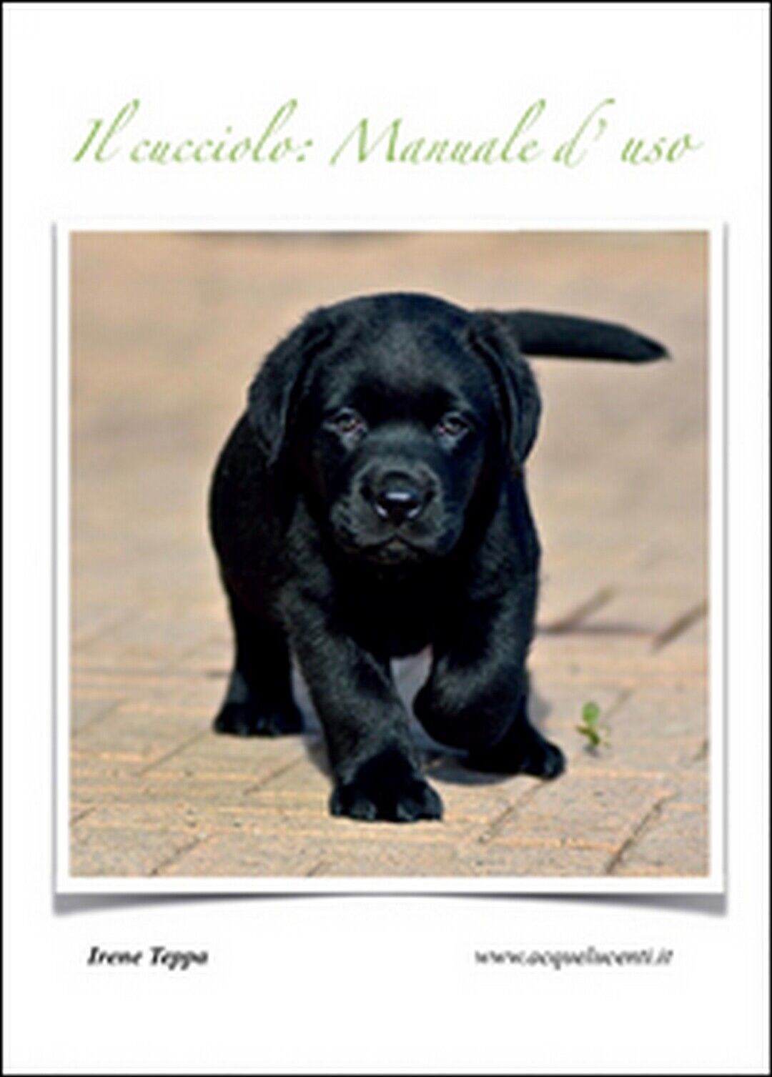 Il cucciolo: manuale d'uso  di Irene Teppa,  2015,  Youcanprint