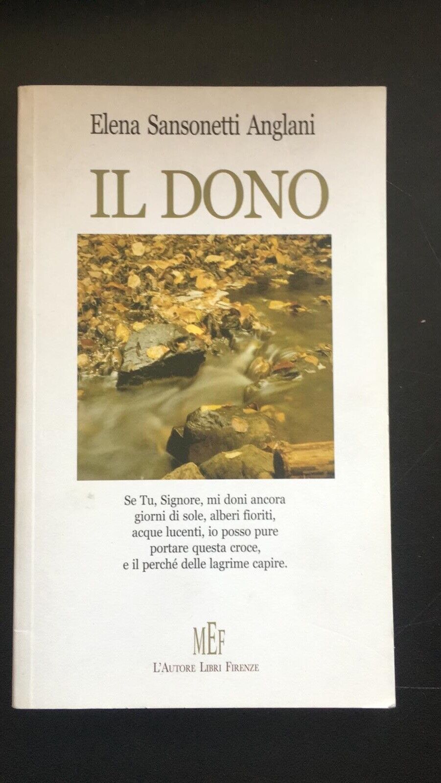 Il dono - Elena Sansonetti Anglani,  2008,  L'Autori Libri Firenze - P