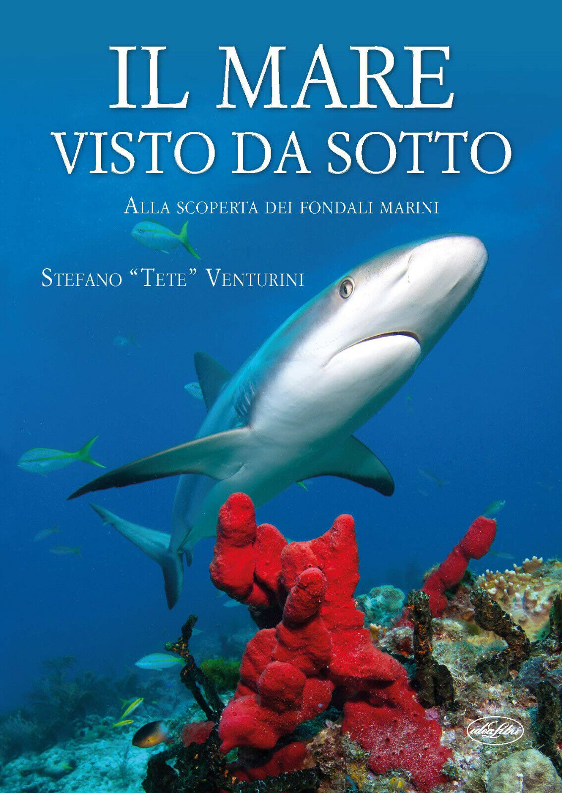 Il mare visto da sotto - Stefano Tete Venturini - Idea libri, 2019
